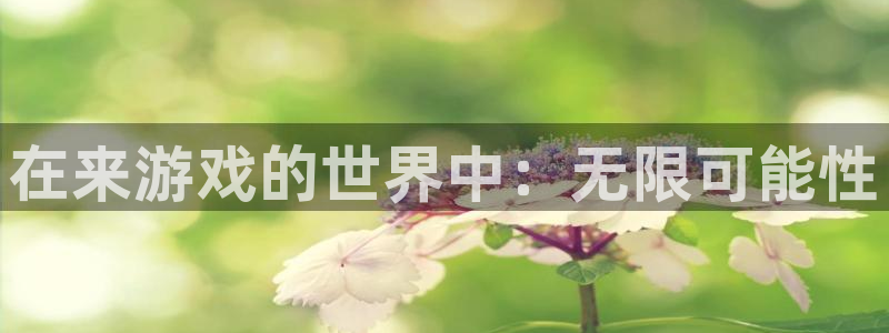 杏运连连：在来游戏的世界中：无限可能性