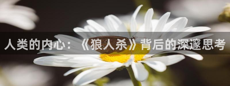 杏运注册平台：人类的内心：《狼人杀》背后的深邃思考