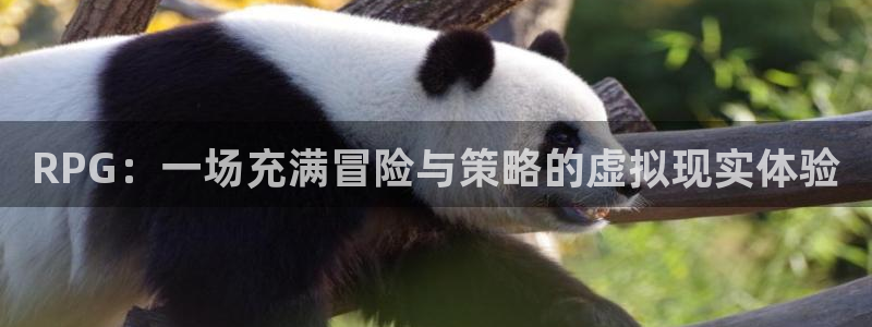 杏运体育官方网址：RPG：一场充满冒险与策略的虚拟现实体验