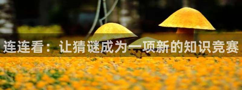 杏运注册平台：连连看：让猜谜成为一项新的知识竞赛