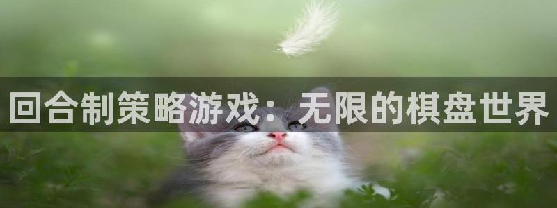 杏运娱乐注册账号入口在哪里：回合制策略游戏：无限的棋盘世界