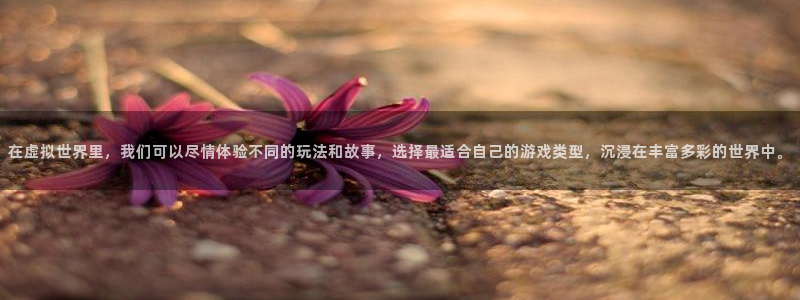 杏运娱乐注册资金多少