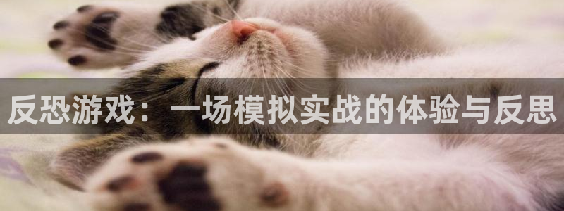 杏运注册：反恐游戏：一场模拟实战的体验与反思