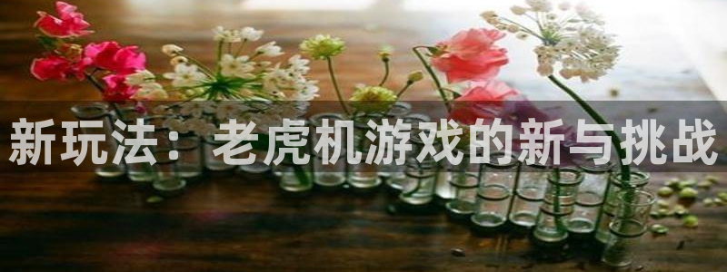 杏运：新玩法：老虎机游戏的新与挑战