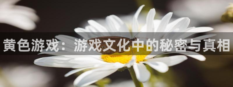 杏运娱乐注册资金多少：黄色游戏：游戏文化中的秘密与真相