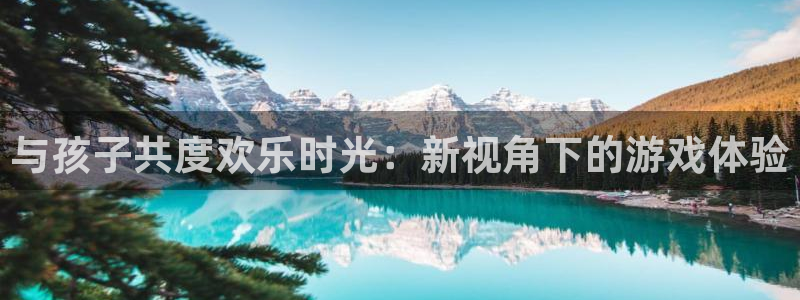 杏运娱乐注册：与孩子共度欢乐时光：新视角下的游戏体验