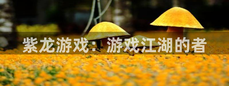 杏运电影免费观看：紫龙游戏：游戏江湖的者
