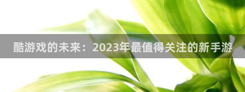 杏运杏运注册：酷游戏的未来：2023年最值得关注的新手游