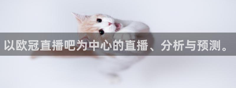 看免费体育直播山猫直播：以欧冠直播吧为中心的直播、分析与预测。