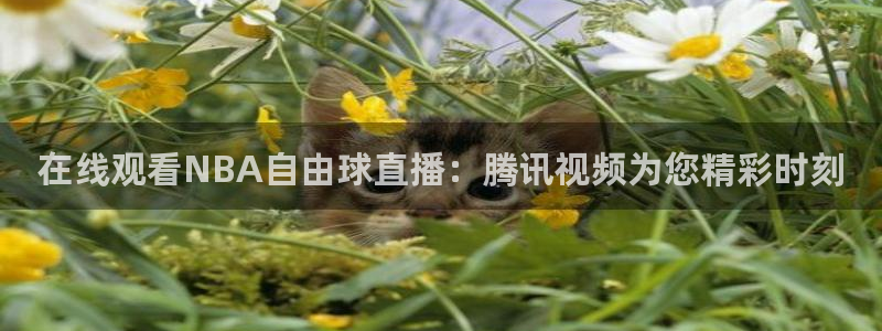 山猫直播足球免费直播：在线观看NBA自由球直播：腾讯视频为您精彩时刻