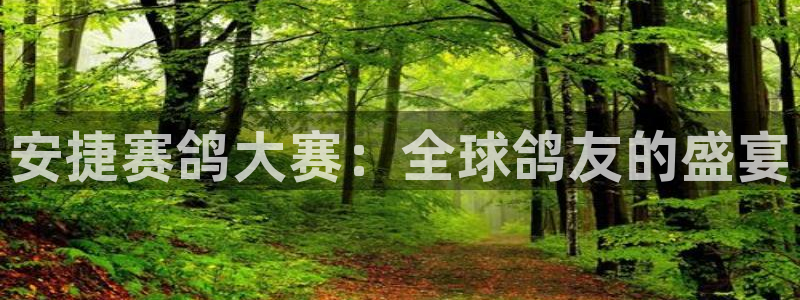 山猫足球直播免费观看：安捷赛鸽大赛：全球鸽友的盛宴