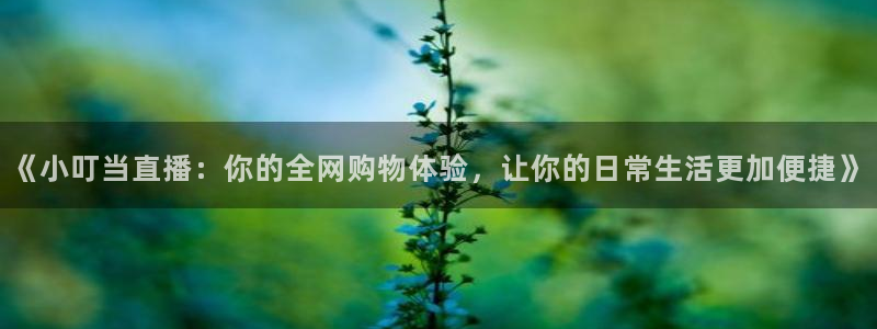 山猫足球：《小叮当直播：你的全网购物体验，让你的日常生活更加便捷》