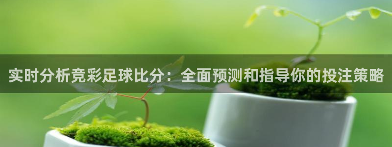 nba直播山猫：实时分析竞彩足球比分：全面预测和指导你的投注策略