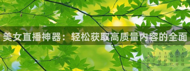 山猫免费直播nba：美女直播神器：轻松获取高质量内容的全面