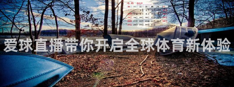 山猫直播直播：爱球直播带你开启全球体育新体验
