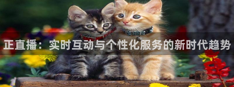 山猫体育赛事直播平台：正直播：实时互动与个性化服务的新时代趋势