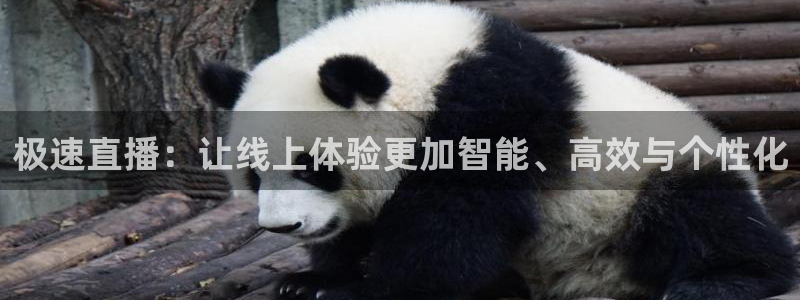 nba山猫直播在线观看免费：极速直播：让线上体验更加智能、高效与个性化