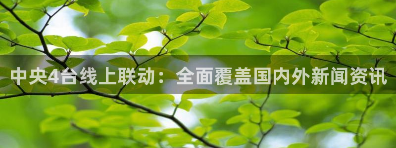 足球直播山猫：中央4台线上联动：全面覆盖国内外新闻资讯
