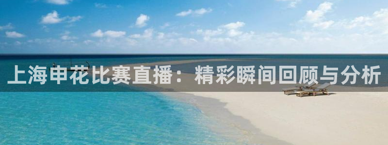 山猫体育在线直播：上海申花比赛直播：精彩瞬间回顾与分析